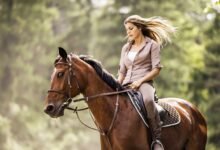 Horseback Riding in Cincinnati: Experiences for Fall & Winter