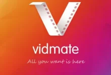 Top 10 Tips and Tricks for Using VidMattApp Like a Pro 5 Top 10 Tips and Tricks for Using VidMattApp Like a Pro